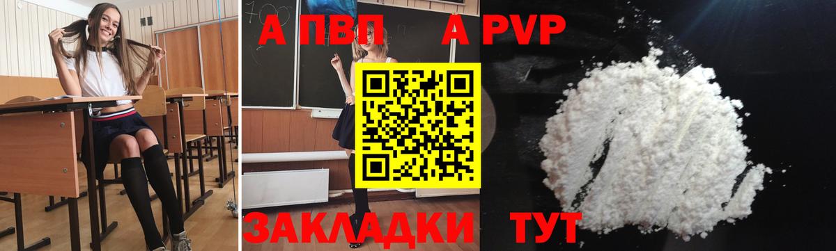 Alpha-PVP СК КРИС  Alfa_PVP  Бердск  Вход с VPN 