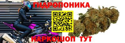 соль ск Моздок