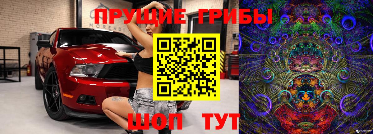 Бердск  Галлюциногенные грибы Psilocybine cubensis  Вход с VPN 